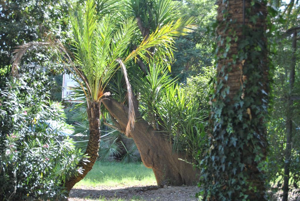 Villa Fiocchi Caltanissetta Extérieur photo